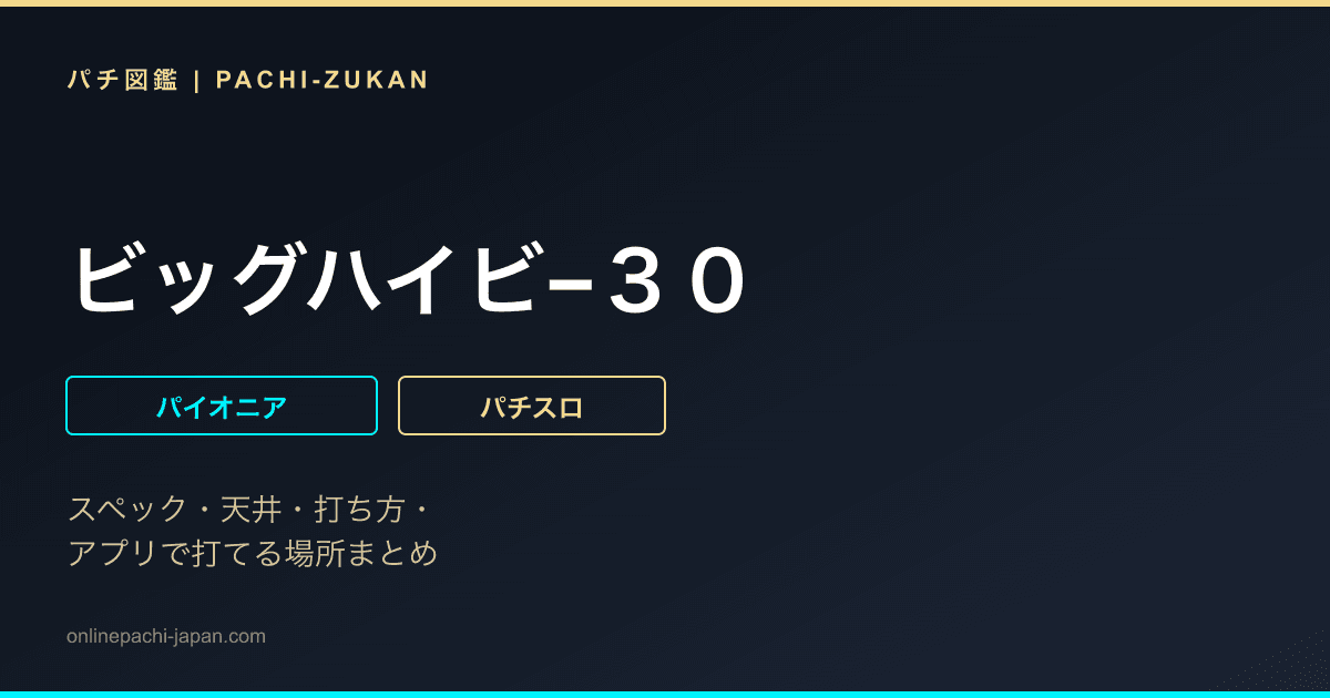 ビッグハイビ−３０