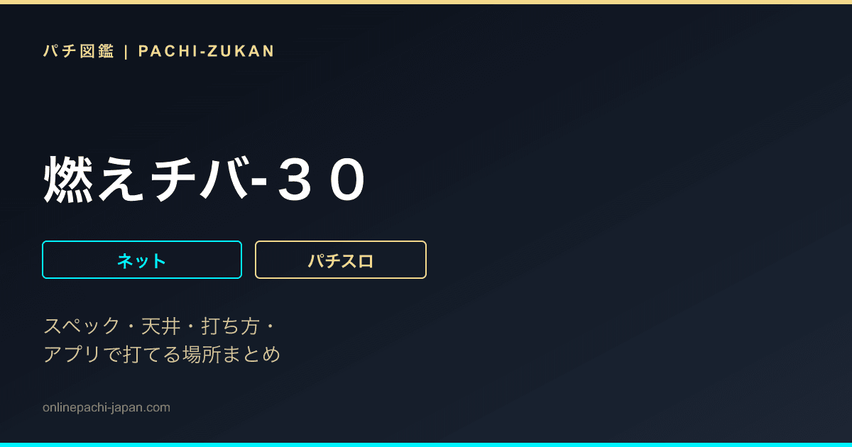 燃えチバ‐３０