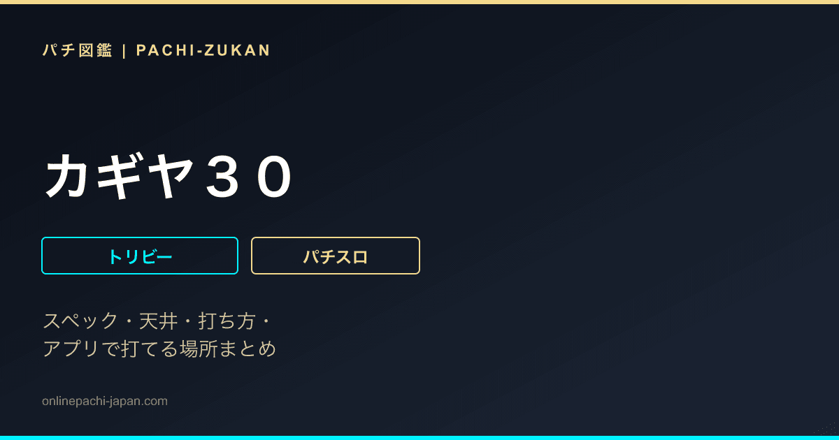 カギヤ３０ - 機種画像