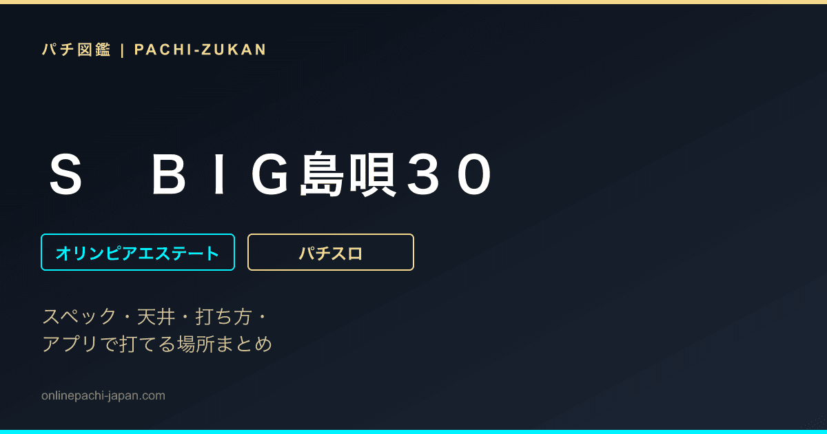 Ｓ　ＢＩＧ島唄３０